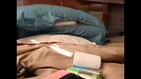 Snapshot of sluttyslut123797367 chatting on March 30, 2026, 1:56 pm Nastyguurl online show from March 30, 2026, 1:56 pm