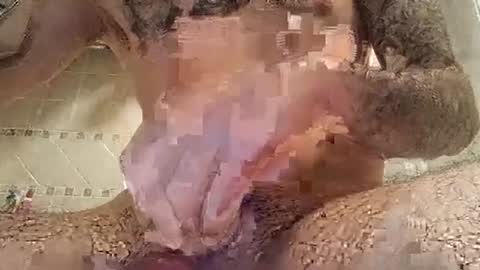 smallone8825 online show from March 10, 2025, 6:27 am