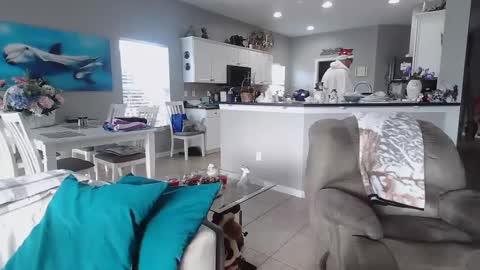 Snapshot of smallpenisbigtongue chatting on December 25, 2024, 2:23 pm Daddy online show from December 25, 2024, 2:23 pm