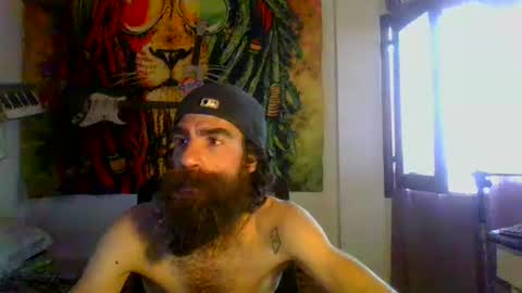 willy online show from December 3, 2024, 8:49 am