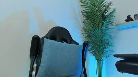 SMIT  online show from December 7, 2024, 9:39 am