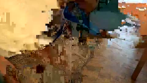 Peter Johnson online show from December 24, 2024, 6:06 pm