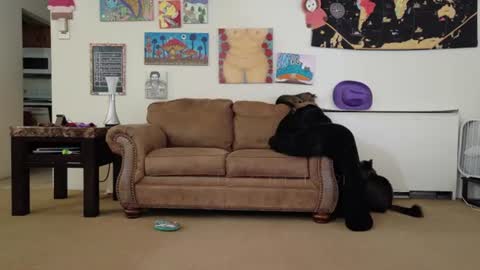 Snapshot of smokihippi chatting on July 26, 2026, 2:57 pm Big Dawg online show from July 26, 2026, 2:57 pm