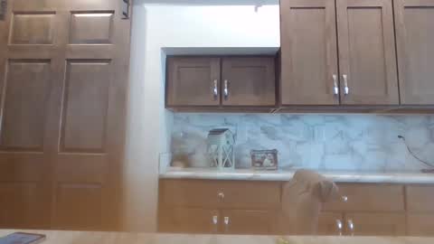 Bambi--Vodka online show from January 30, 2025, 7:48 pm