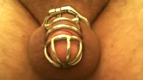 Snapshot of snakepit31 chatting on December 24, 2024, 10:06 pm Sissy Boy online show from December 24, 2024, 10:06 pm