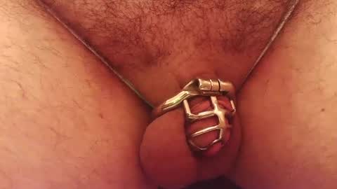 Snapshot of snakepit31 chatting on October 5, 2025, 5:44 pm Sissy Boy online show from October 5, 2025, 5:44 pm