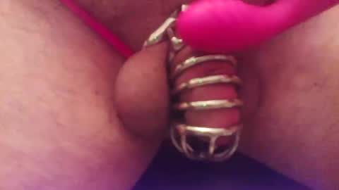 Snapshot of snakepit31 chatting on January 11, 2026, 8:25 pm Sissy Boy online show from January 11, 2026, 8:25 pm