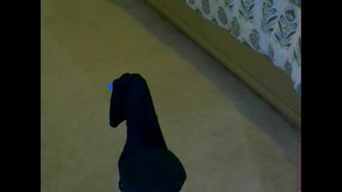 Snapshot of snizniz chatting on December 2, 2024, 4:09 pm snizniz online show from December 2, 2024, 4:09 pm