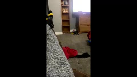 snowball5499 online show from April 3, 2026, 3:26 am