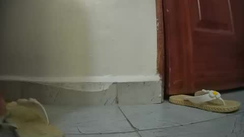 Snapshot of snowbell91 chatting on January 27, 2025, 8:29 am snowbell91 online show from January 27, 2025, 8:29 am