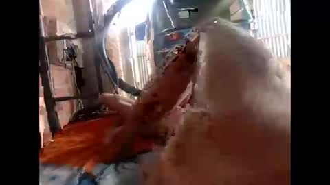 snqhephncxpu online show from February 17, 2026, 1:18 pm