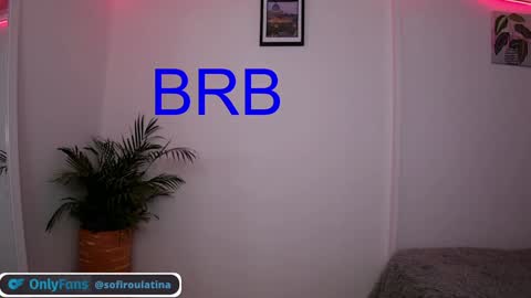 Snapshot of soffi_rousel_ chatting on December 29, 2024, 9:30 pm soffi_rousel_ online show from December 29, 2024, 9:30 pm