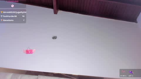 Sofia online show from March 9, 2025, 10:41 pm