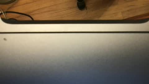 soflastiffyboy69 online show from November 13, 2025, 8:19 pm