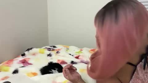 softandcreamyass online show from March 14, 2026, 4:29 am