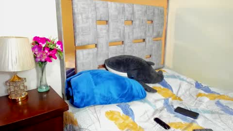 sophia CM online show from December 2, 2025, 2:17 am