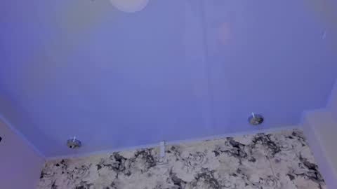 Snapshot of sophidavis chatting on December 12, 2024, 8:36 am Sophi online show from December 12, 2024, 8:36 am