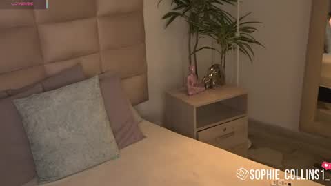 Snapshot of sophiecollins_1 chatting on June 30, 2026, 11:55 am Sophie online show from June 30, 2026, 11:55 am