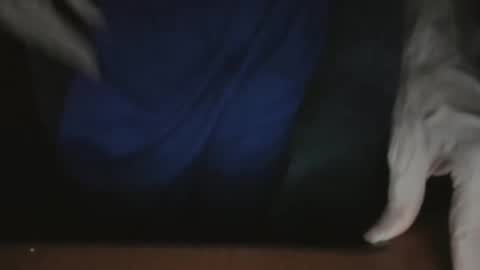 Snapshot of southflaman chatting on November 22, 2025, 5:17 am ScorpioKobra online show from November 22, 2025, 5:17 am