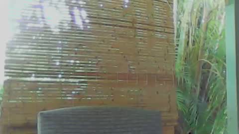 soveryhandsome online show from January 9, 2025, 5:34 am