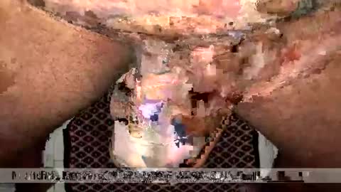 space Dog25 online show from January 12, 2026, 2:39 am