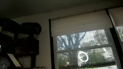 Snapshot of spankamber chatting on June 13, 2026, 11:24 pm AmberSpanks online show from June 13, 2026, 11:24 pm