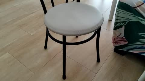 Leo online show from March 2, 2026, 1:51 pm