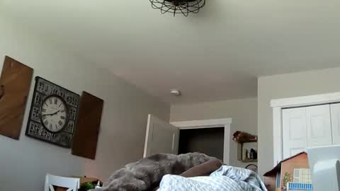 sportfish online show from April 4, 2026, 6:38 pm