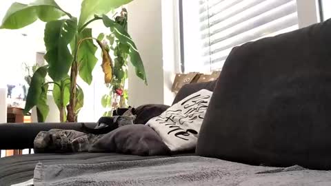 Snapshot of spritzer669 chatting on December 13, 2024, 12:28 pm Spritzer669 online show from December 13, 2024, 12:28 pm