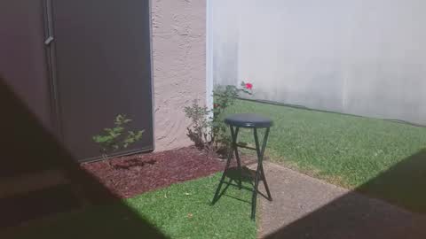 srtxshow online show from March 14, 2026, 4:34 pm