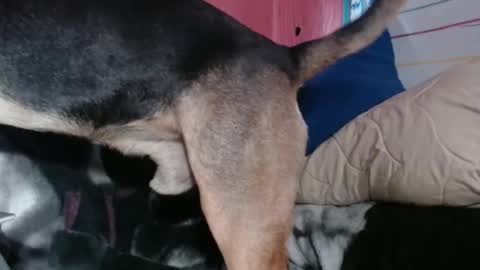 Sinserity online show from April 2, 2026, 9:23 pm