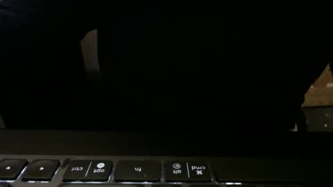 stargazer1069 online show from November 13, 2025, 9:52 am