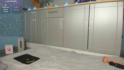 Snapshot of stefaevans chatting on March 5, 2026, 4:08 am Stefa online show from March 5, 2026, 4:08 am