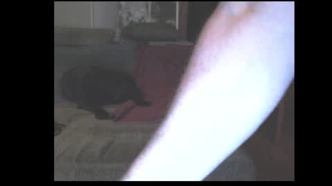 Snapshot of stefangeil123 chatting on March 21, 2026, 12:59 am stefangeil123 online show from March 21, 2026, 12:59 am