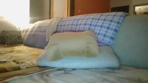 Snapshot of steki038434 chatting on January 12, 2025, 2:03 am steki038434 online show from January 12, 2025, 2:03 am