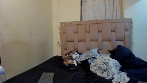 Stepcouple   online show from January 7, 2026, 11:51 pm