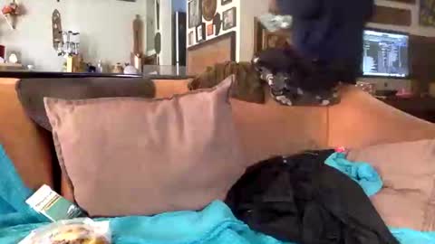 STEVE CASHMASTER 1comedia online show from February 25, 2025, 8:51 pm