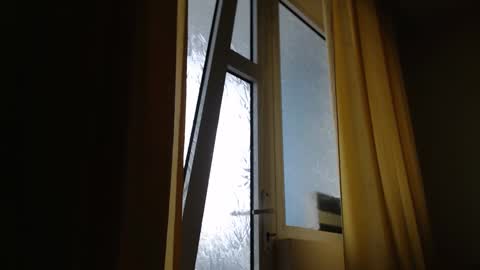 Steven online show from January 22, 2025, 12:06 pm