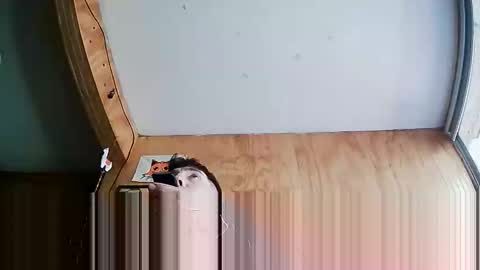 Snapshot of stevenbrookless chatting on October 4, 2025, 7:23 pm Steve online show from October 4, 2025, 7:23 pm