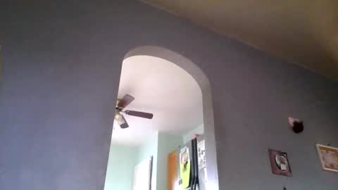 Snapshot of stickyredfunsize chatting on November 4, 2025, 2:05 pm stickyredfunsize online show from November 4, 2025, 2:05 pm