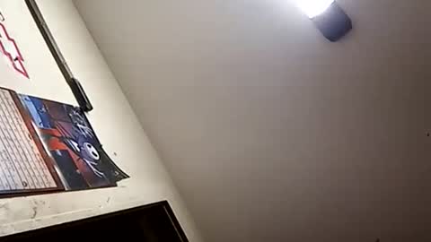 Snapshot of stokely571996 chatting on January 1, 2025, 1:16 pm Oval2022 online show from January 1, 2025, 1:16 pm