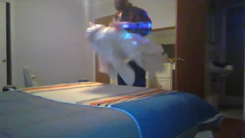 Snapshot of str8hotguyforany chatting on January 14, 2026, 6:08 am Chris4AllToWatch online show from January 14, 2026, 6:08 am