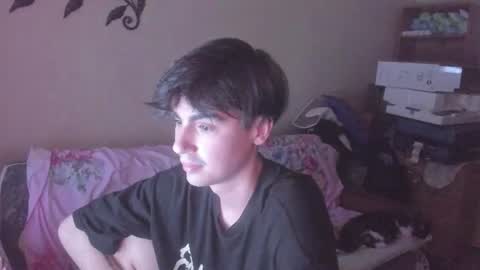 Snapshot of stralght_twinks chatting on June 13, 2026, 12:52 am Ray online show from June 13, 2026, 12:52 am