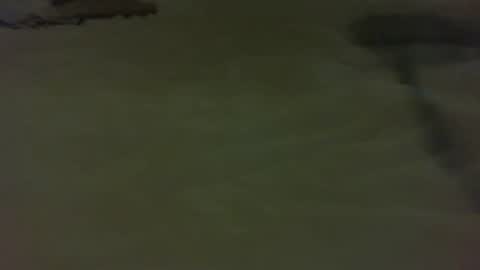 stratocatster online show from January 11, 2025, 4:46 pm