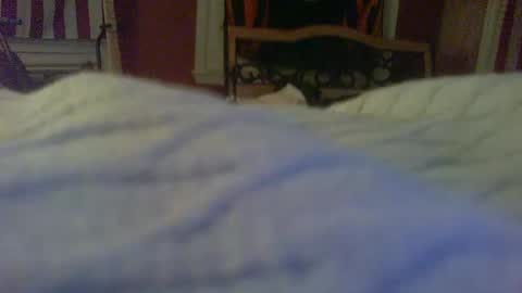 stratocatster online show from January 24, 2025, 2:39 am