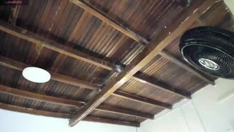 Alexa   online show from February 21, 2026, 11:00 am