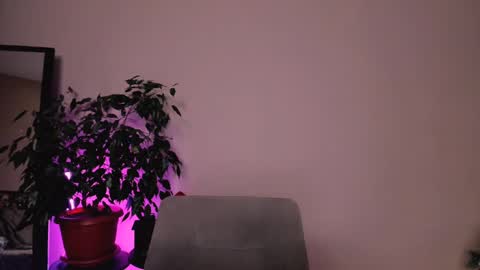 Snapshot of stuffed_cookie chatting on December 18, 2024, 1:45 pm Mary online show from December 18, 2024, 1:45 pm