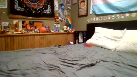stupidslutjess online show from June 29, 2026, 5:46 am