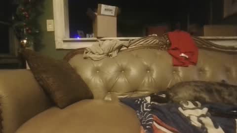 sub_michael41 online show from December 21, 2024, 6:52 am