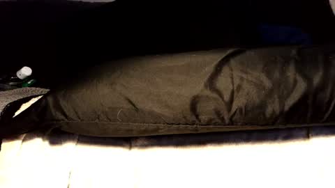 between my legs online show from June 17, 2026, 3:35 pm